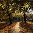 QZOOEn8OUFk-channel-avatar-warsaw walks