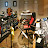 @SpotdoggieStudios's avatar