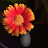 @Rasenschneider's avatar