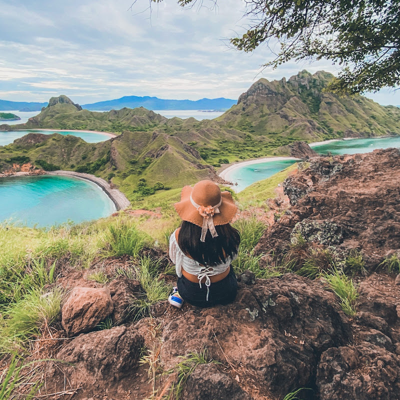 Food & Travel Explorer