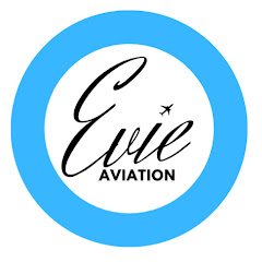Evie Aviation net worth