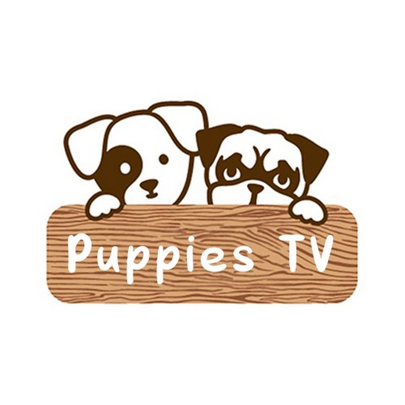 Puppies TV