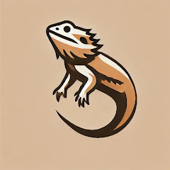 Bearded Dragon Life