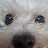 @박준영-d8f
