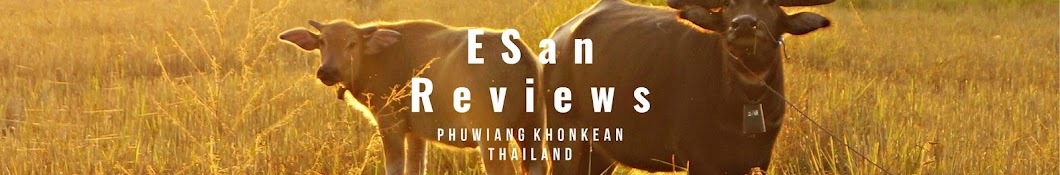 ESan reviews YouTube-Kanal-Avatar