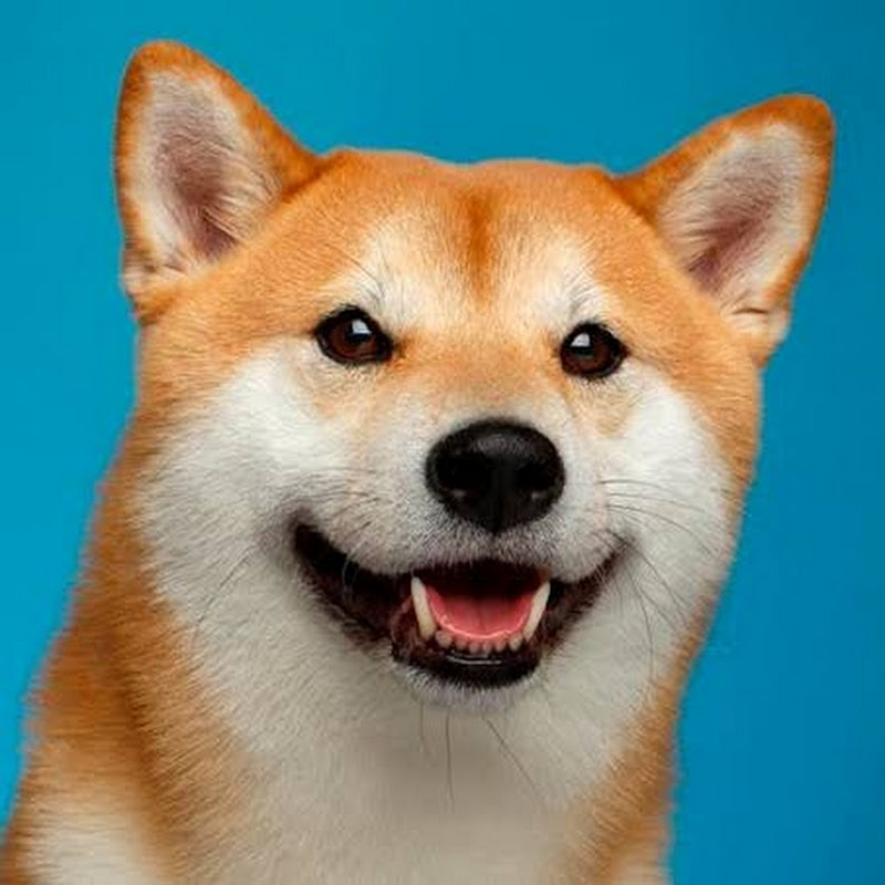 OvalleDEV