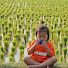 Mihnya-M-8g-channel-avatar-Wani sukses 