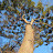 @아름드리-o9d