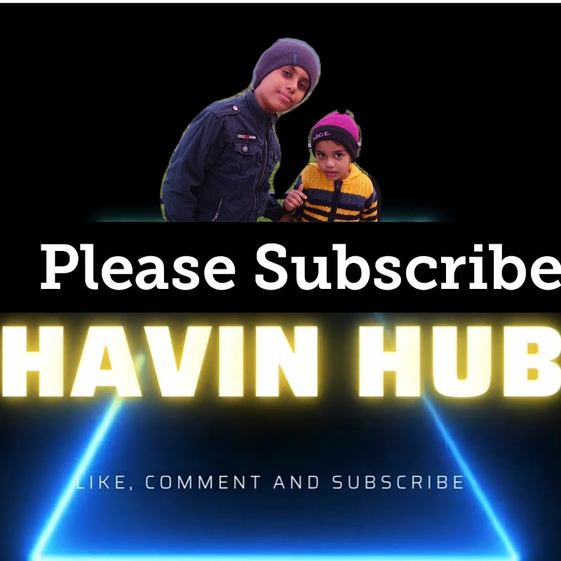 HaVin Hub
