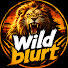 U0FErMcWEgM-channel-avatar-Wild Blurt