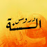 Lb7CjZQZ2_c-channel-avatar-دروس السنة