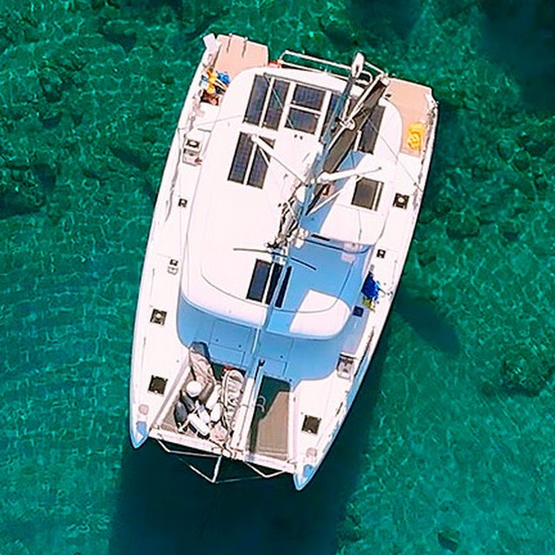 Sailing Bluefish