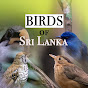 Birds of Sri Lanka logo