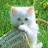 @ahmedmadyan3676