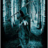 DGs9pJm5fBE-channel-avatar-SonjaFinn