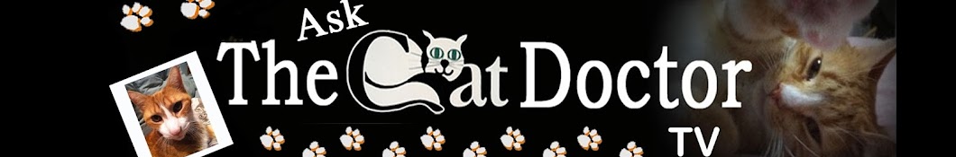 Ask the Cat Doctor Avatar canale YouTube 
