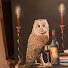 jEK-3VThJRg-channel-avatar-Stew-Art Painting 