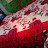 @نورالحياه-و5ز