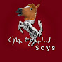 Mr. Horsehead Says logo