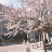 @권하늘-r7h