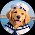 Kj4s9HeVypk-channel-avatar-Healing Sleep for Dogs