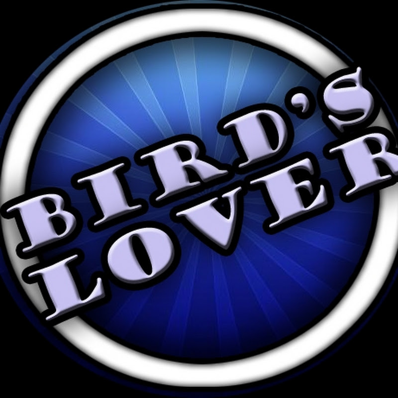 Birds Lover
