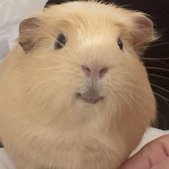 くさったピクミン