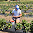 nmnP8k04pjs-channel-avatar-Flavor Baum