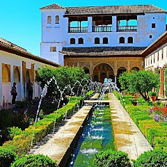 amir rasi أمير راسي Avatar