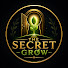 oACTDhzIaFM-channel-avatar-The secret grow