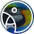 OJXpt3nAvVY-channel-avatar-Parrot Podcast