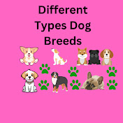 Different Types Dog Breeds