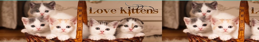 Love Kittens رمز قناة اليوتيوب