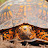 Orange_turtle