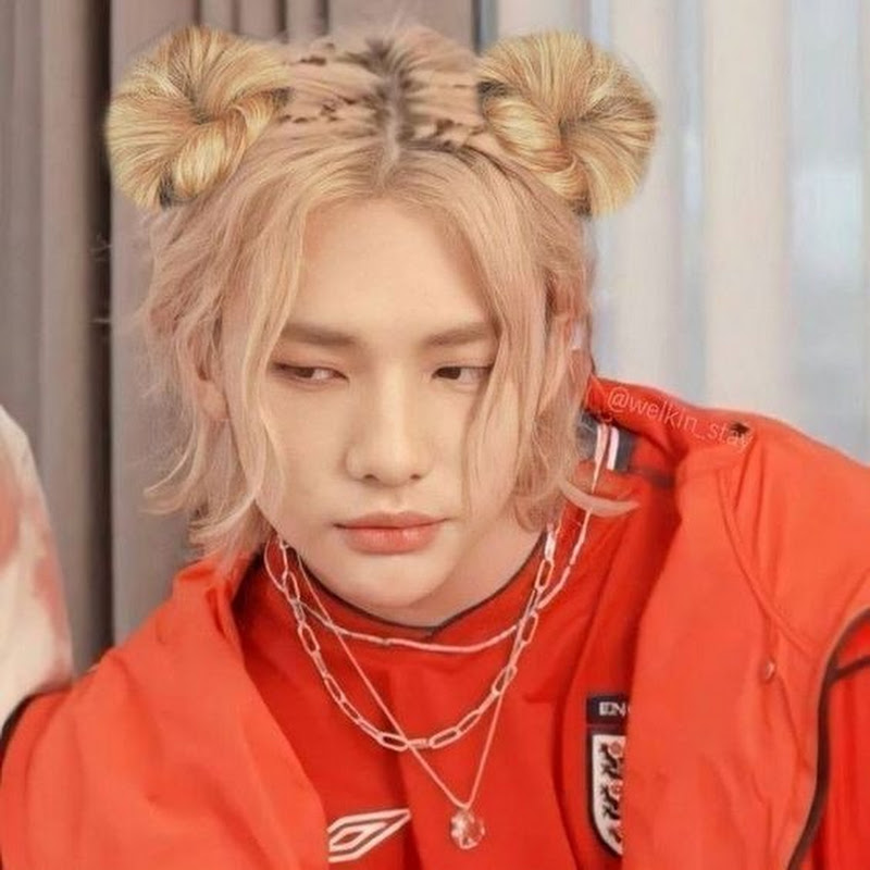 STAY SKZ icon