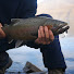 vJQIbsNVxEA-channel-avatar-Fish Magnet 