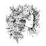 32fdEBj_Sqs-channel-avatar-DoodleZen Studio