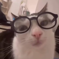 GeffrySLJ