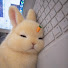 24kK77-rtq4-channel-avatar-人生ノート