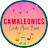 Camaleonics Band