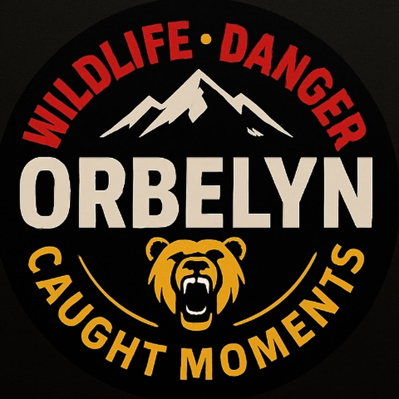 ORBELYN | Caught Moments