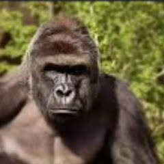 危機感アイコン画像