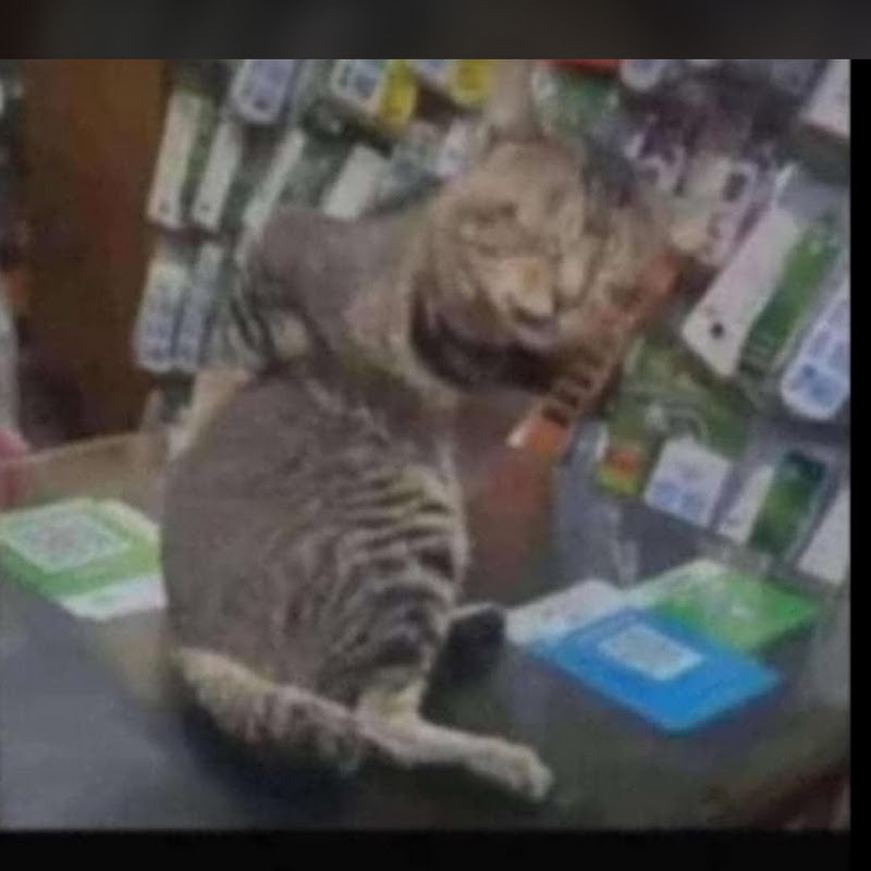 Lastlymeow