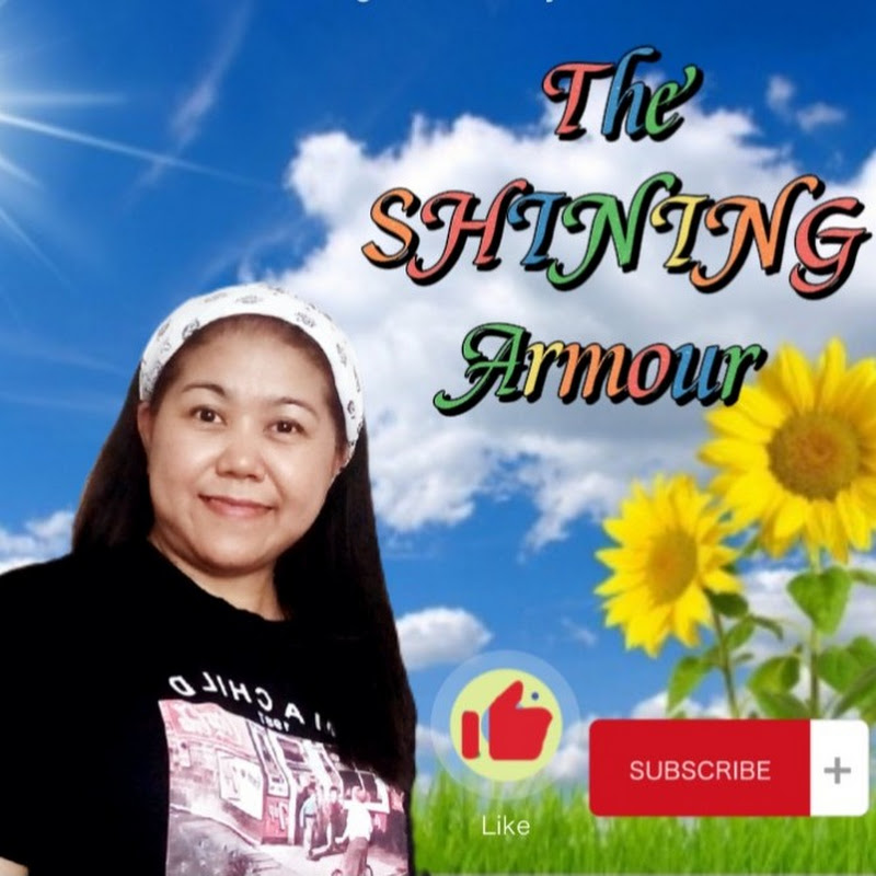 The SHINING Armour