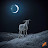 @JongaTim Avatar