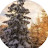 @user-alireza1190