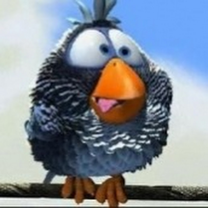Channel Avatar
