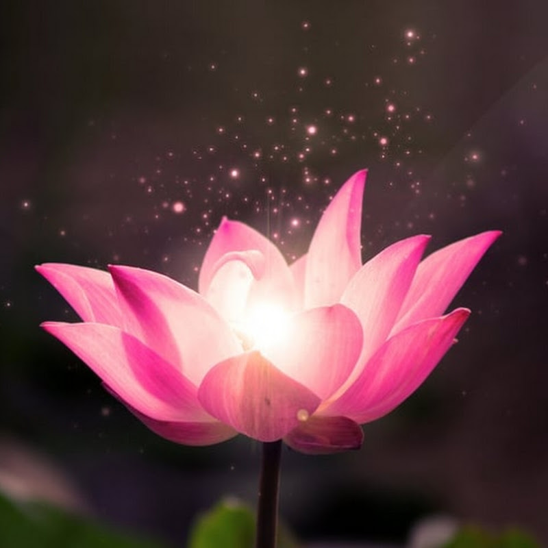 Pháp Hay Mỗi Ngày