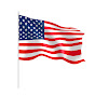 US IMMIGRATION NEWS logo
