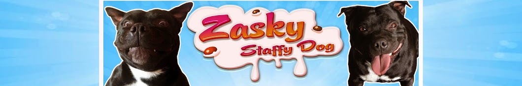 Zasky YouTube kanalı avatarı